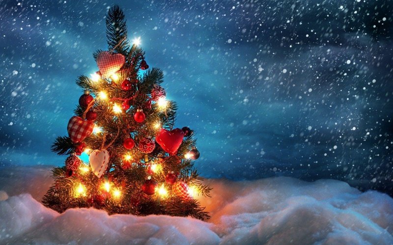 Winter Christmas