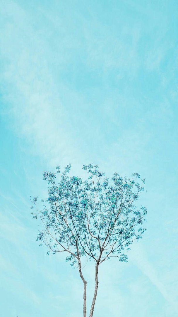Light Blue Aesthetic iPho Images.jpg