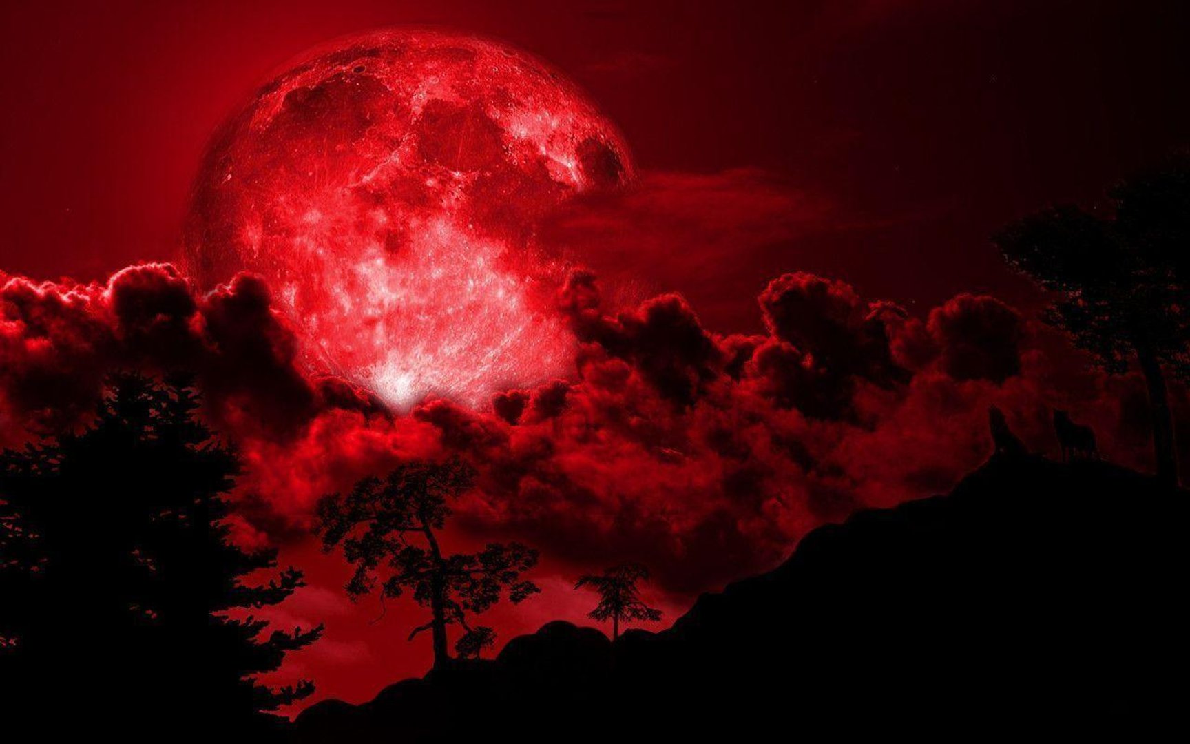 Red Moon Images.jpg