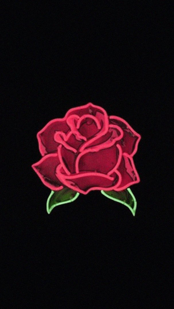 Aesthetic Rose Wallpapers.png