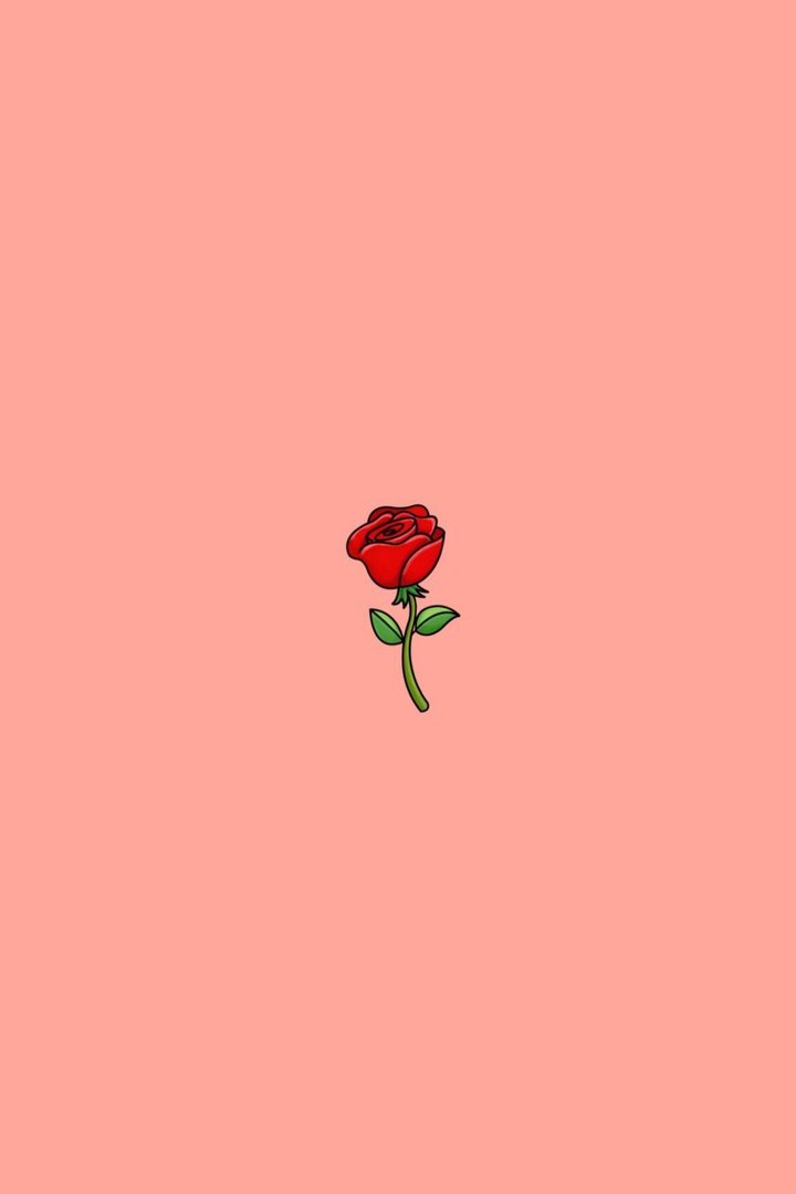 Aesthetic Rose Background.jpg