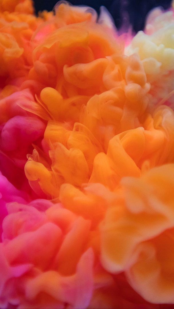Pink and Orange Wallpaper.jpg