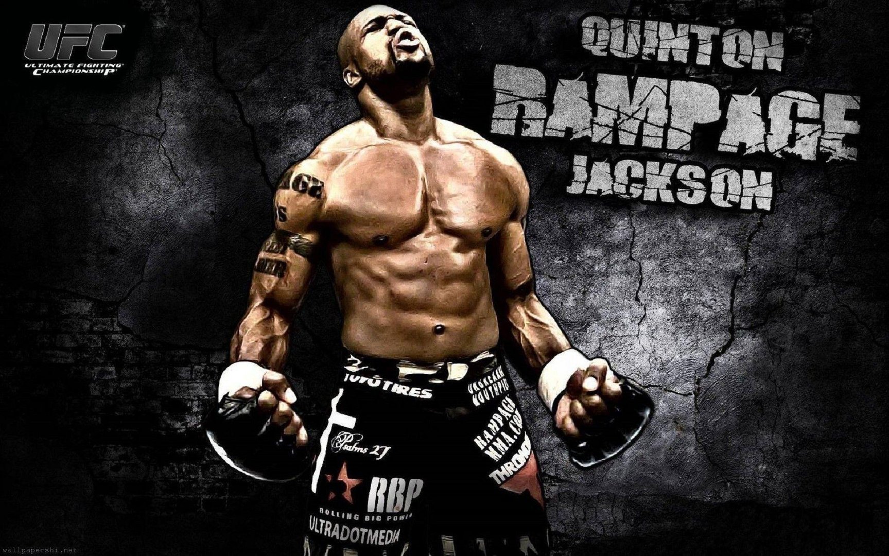 MMA Wallpaper.jpg