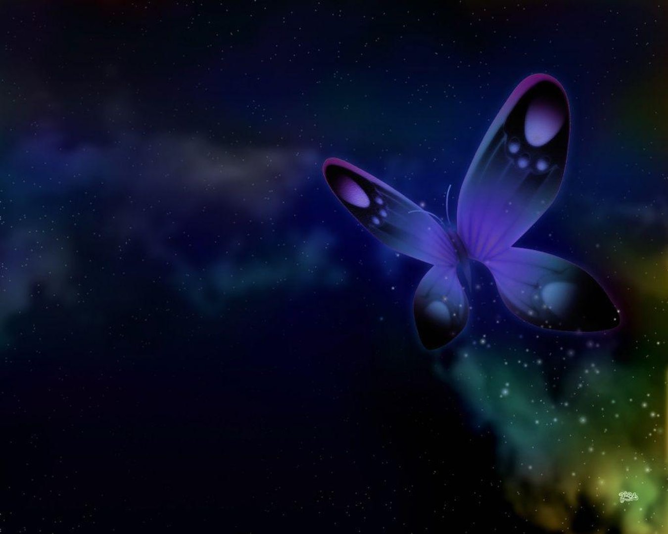 Butterfly Desktop Wallpapers.jpg