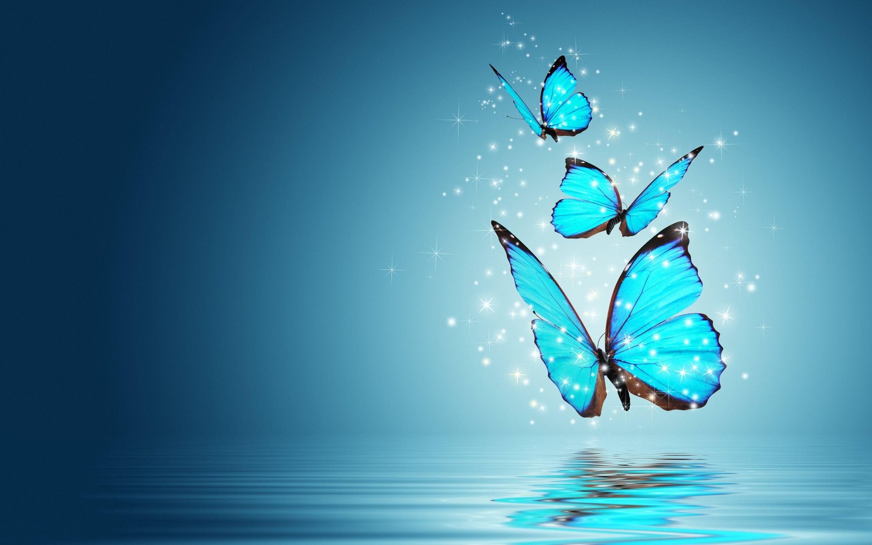 Butterfly Desktop Pictures.jpg