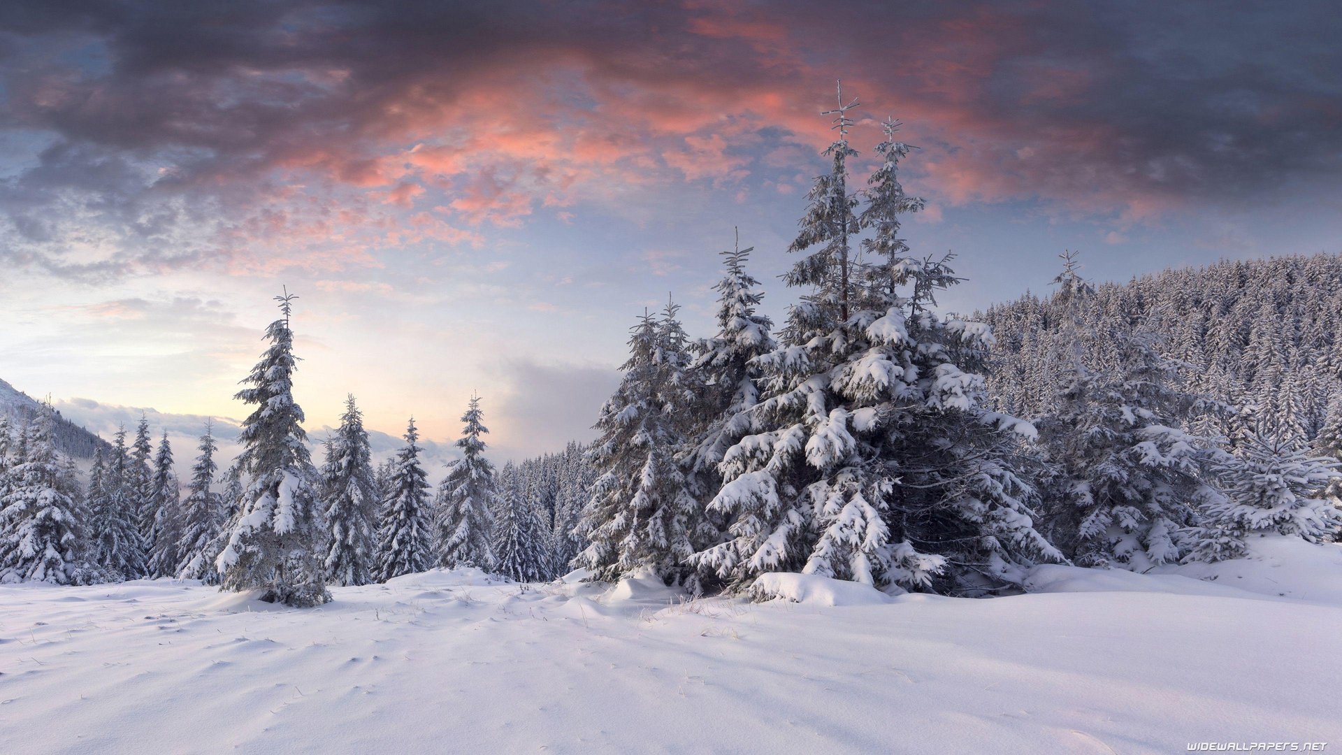 Amazing 4K Winter Images.jpg
