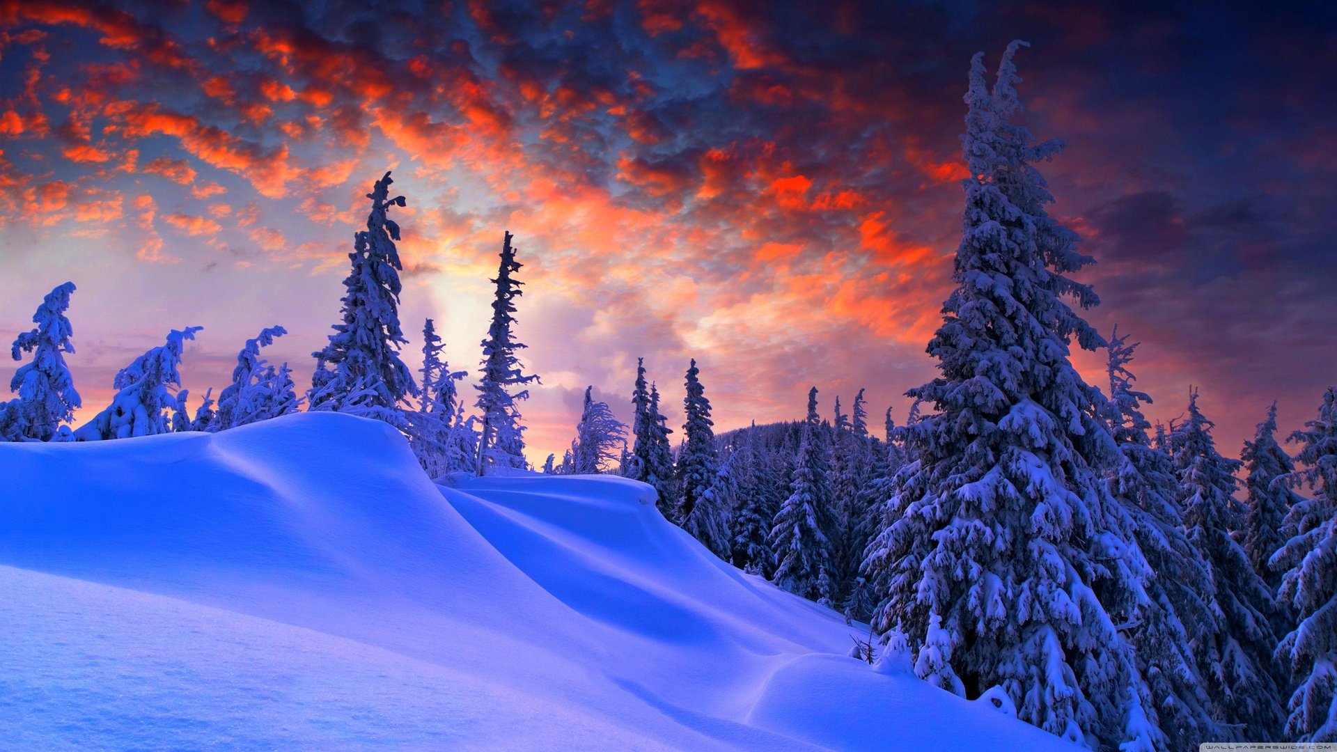 Amazing 4K Winter Pictures.jpg