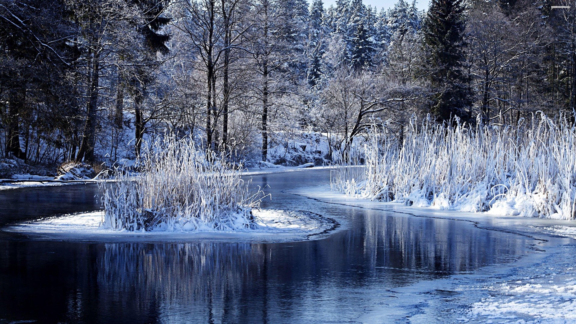 Amazing 4K Winter Wallpaper.jpg