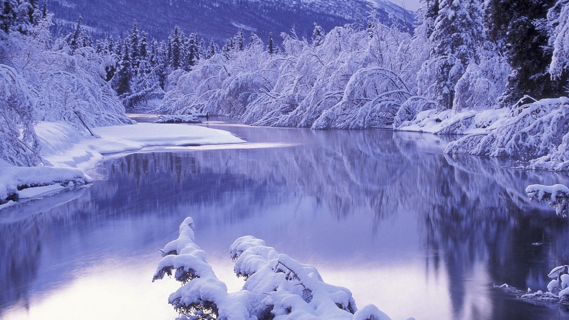 Amazing 4K Winter Background.jpg