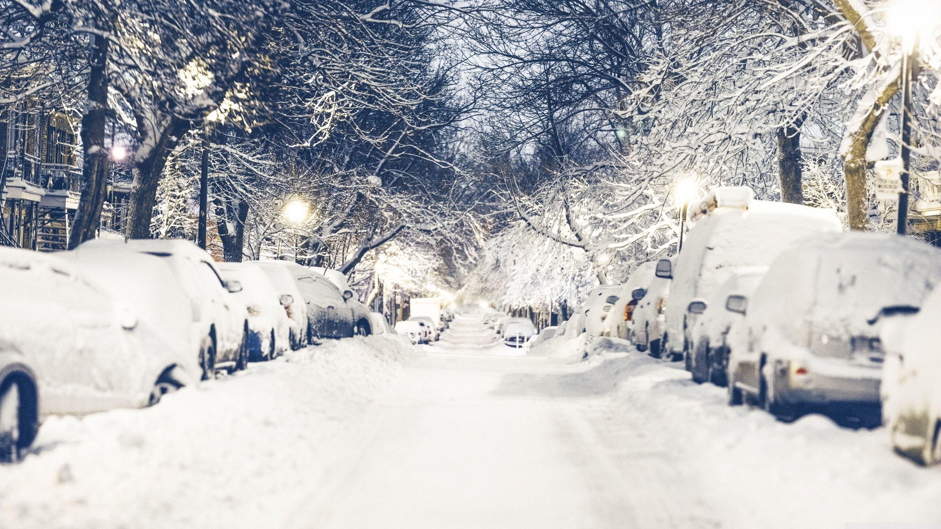 4K 16 9 Winter Images.jpg