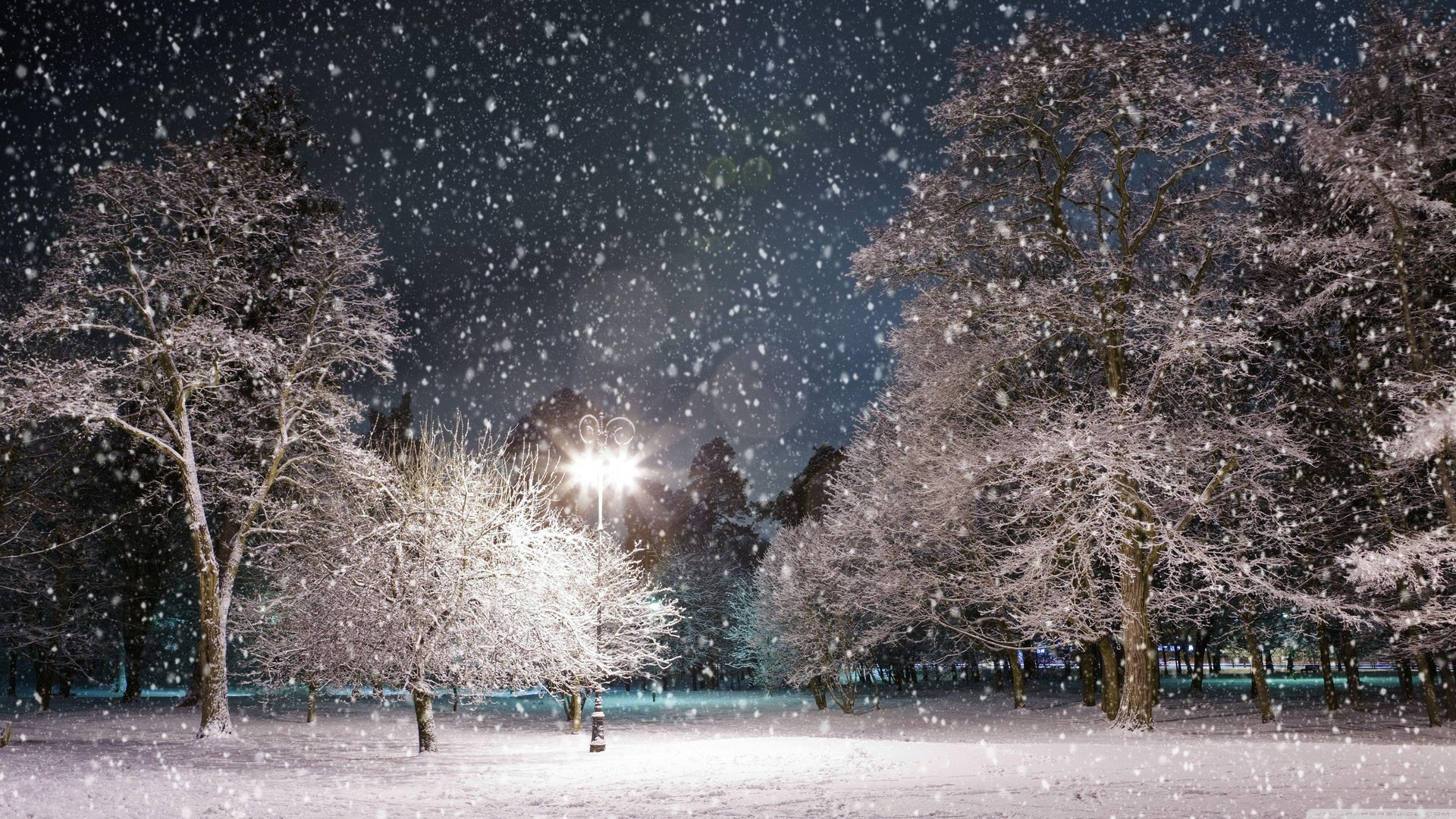 4K 16 9 Winter Pictures.jpg