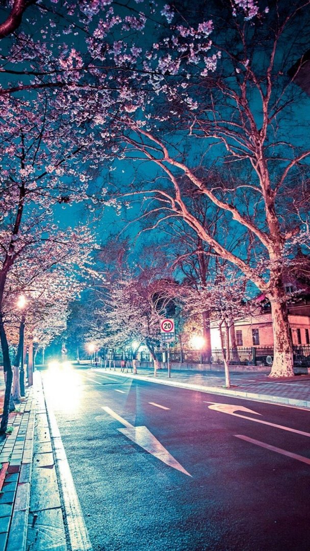 Japanese iPhone Wallpapers.jpg