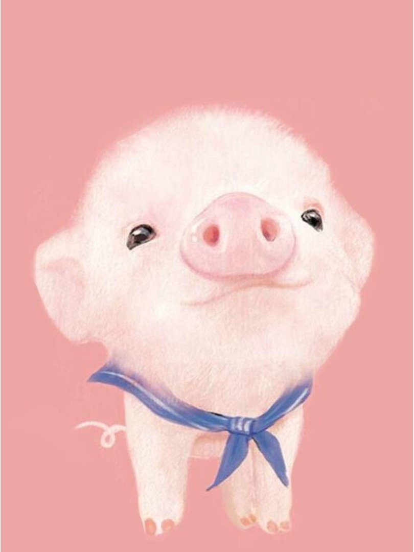 Cute Pig Wallpapers.jpg