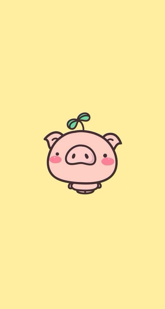 Cute Pig Pictures.jpg