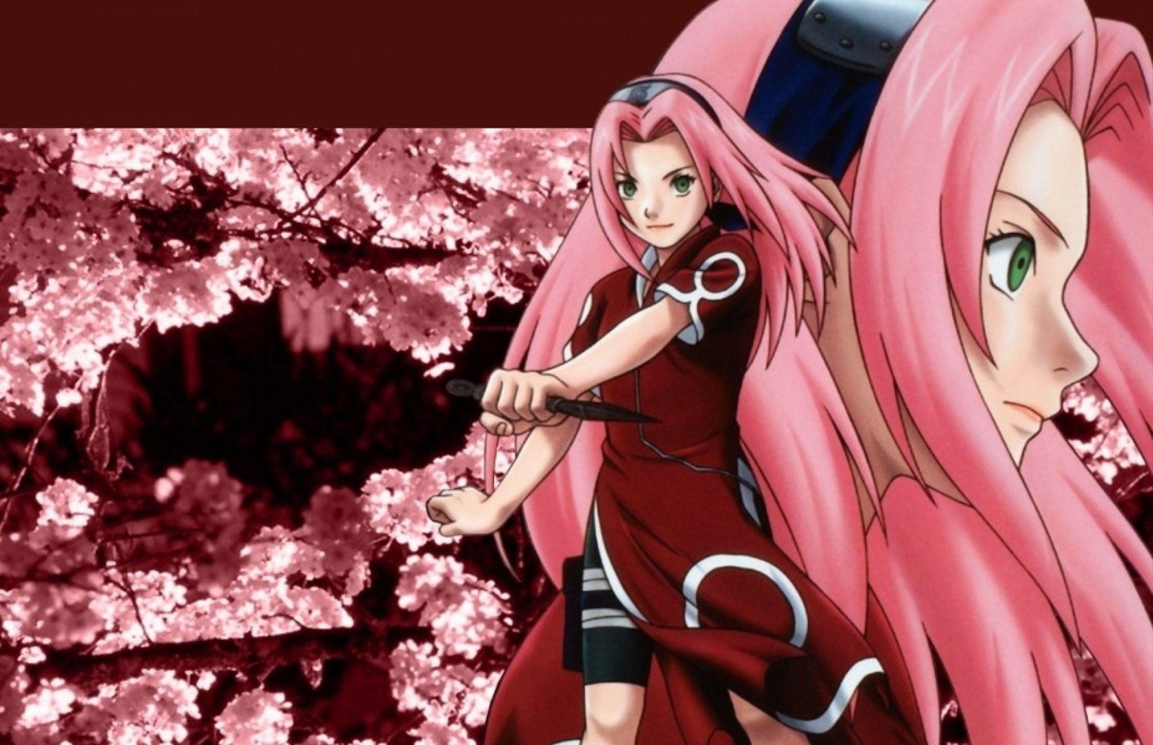Naruto Sakura Wallpaper.jpg