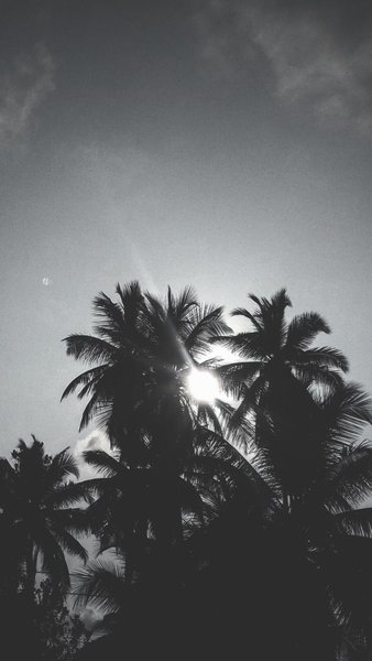 Black and White Mobile