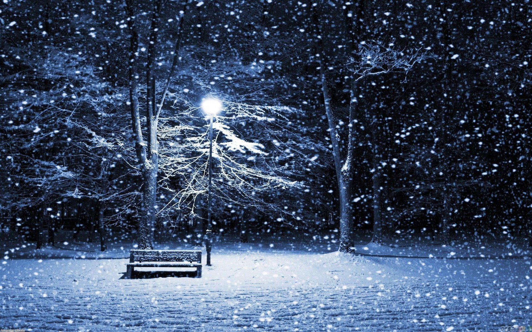 Snowfall Pictures.jpg