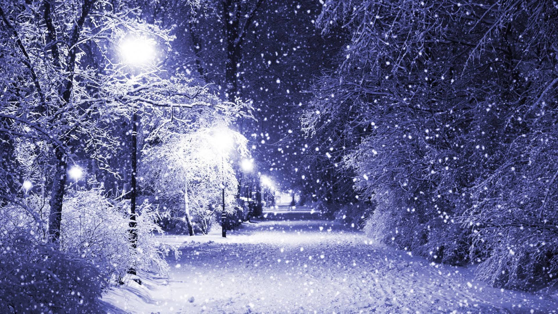 Snowfall Wallpaper.jpg