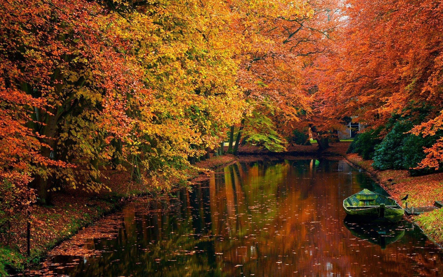 Autumn MacBook Wallpaper.jpg