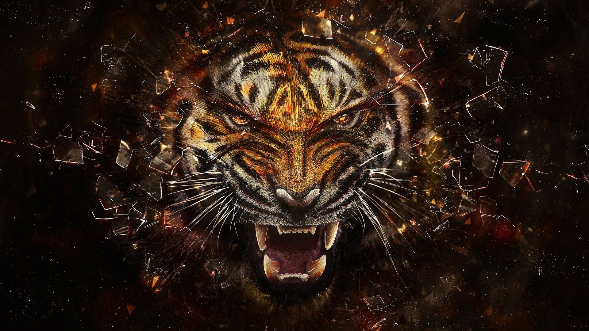 Awesome Animal Wallpapers.jpg