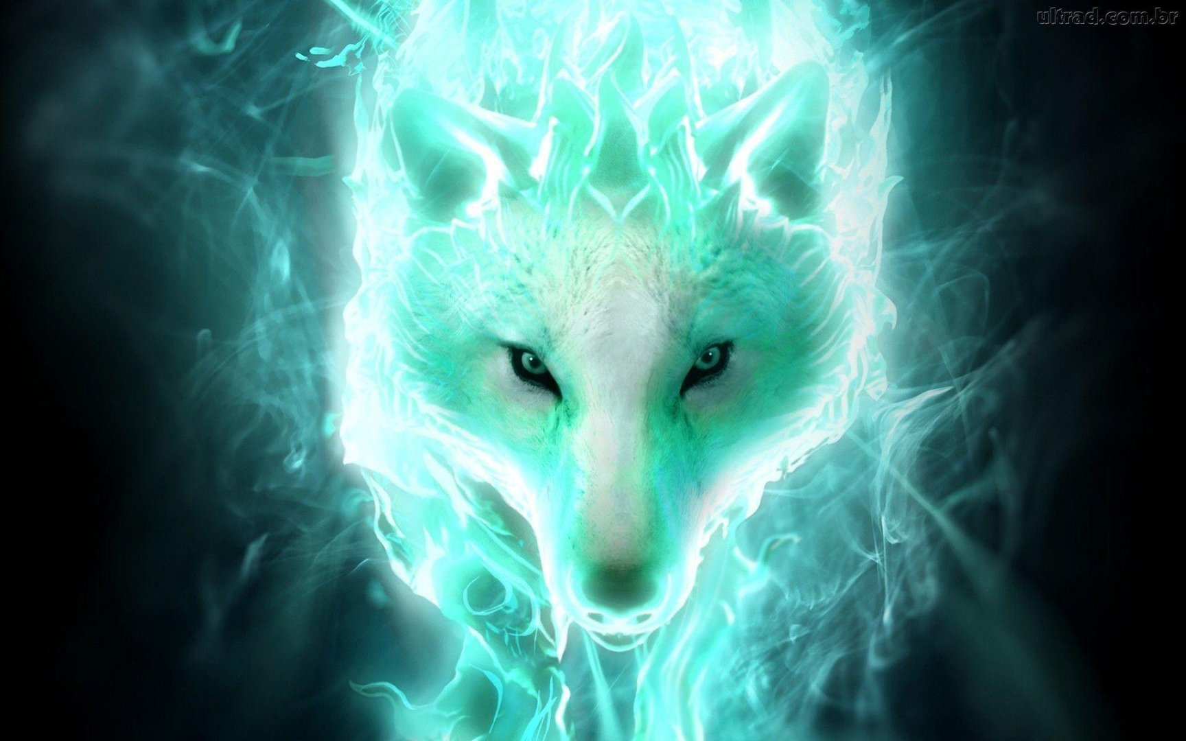 Awesome Animal Images.jpg