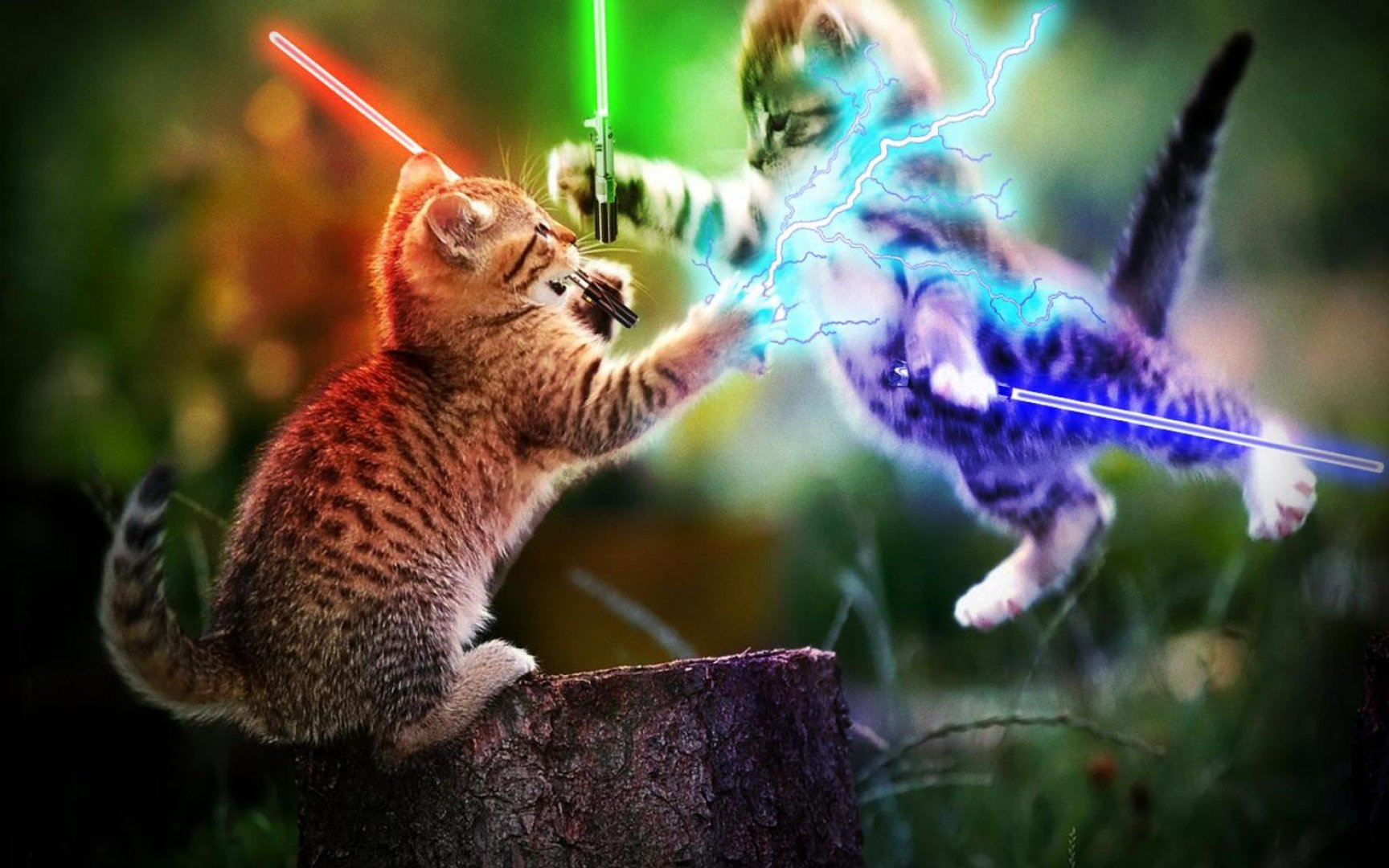 Awesome Animal Pictures.jpg