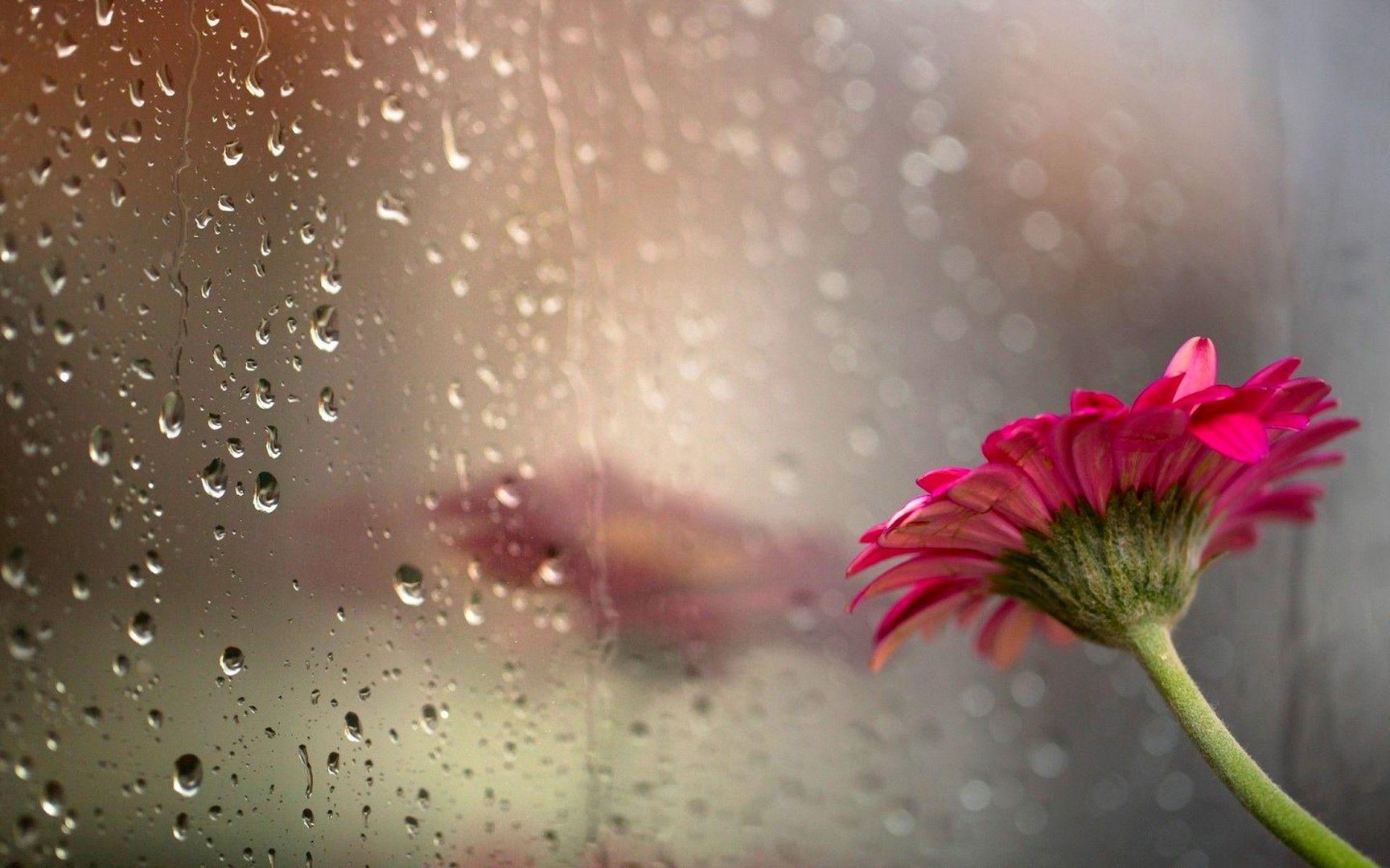 Most Beautiful Rain Images.jpg