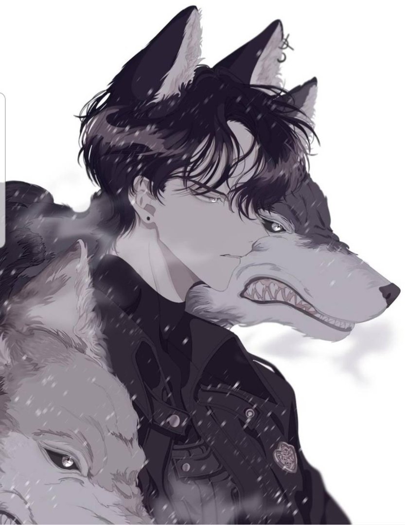 Cute Anime Wolf Boy Images.jpg