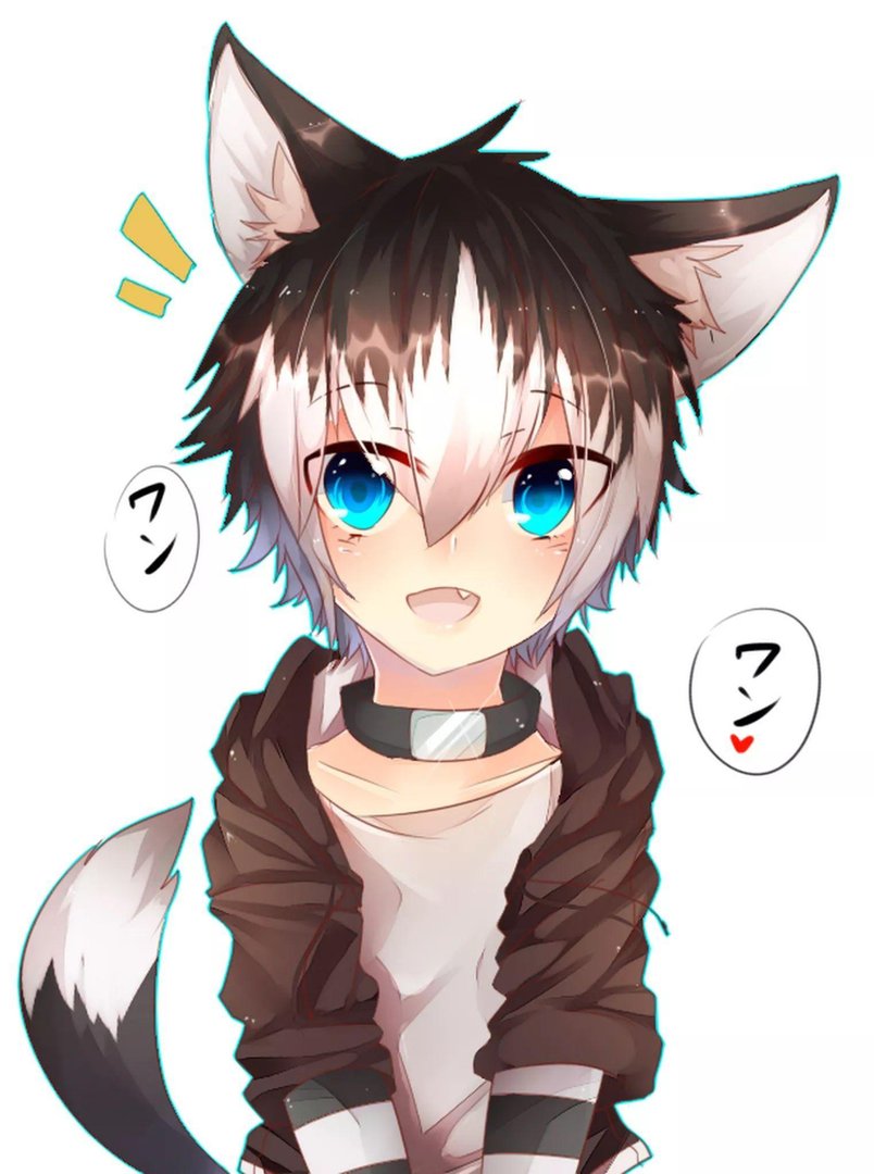 Cute Anime Wolf Boy Pictures.jpg