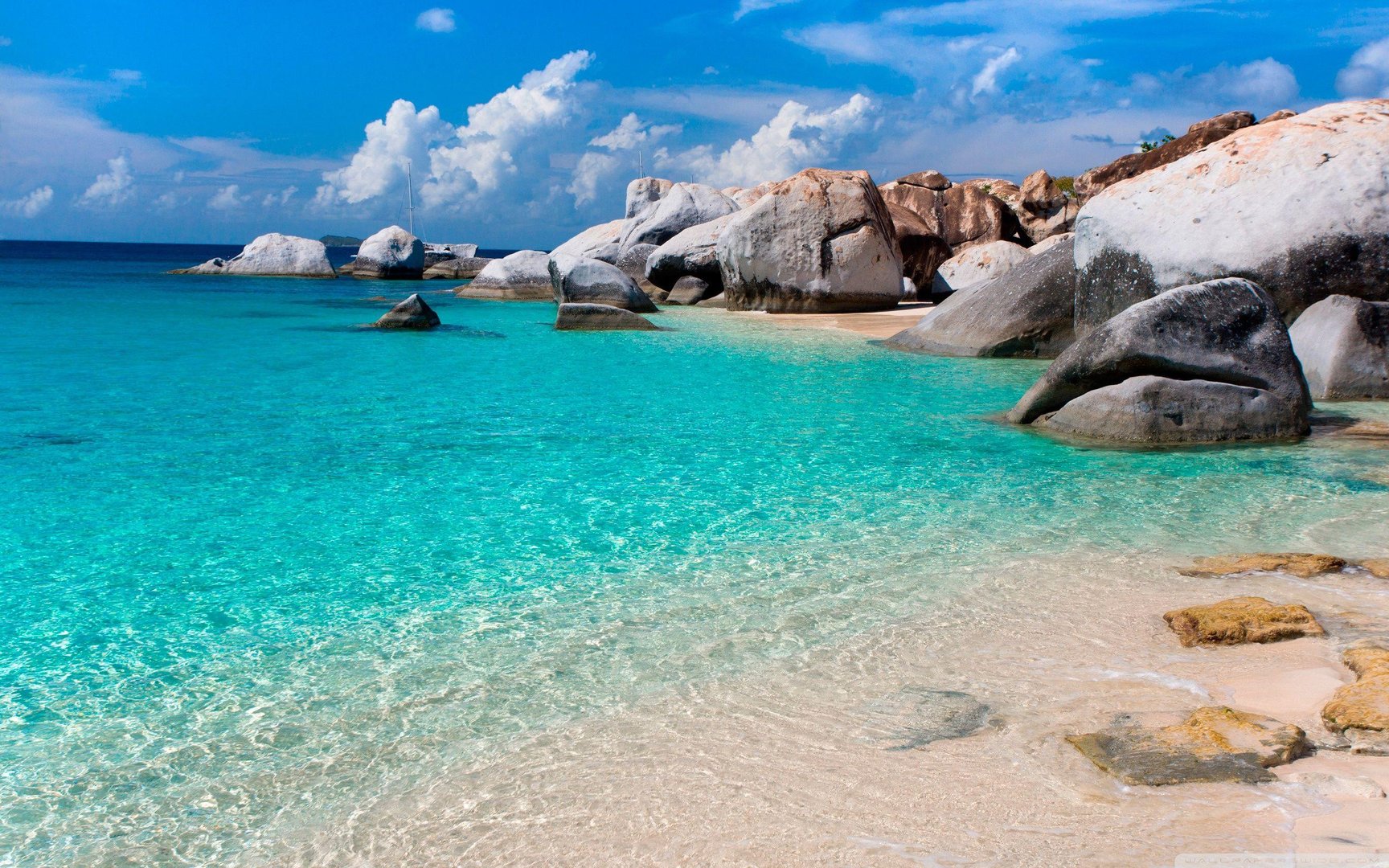 Summer Beach Pictures.jpg