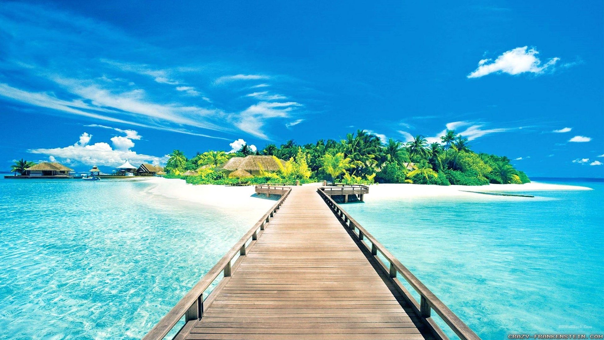 Summer Beach Background.jpg