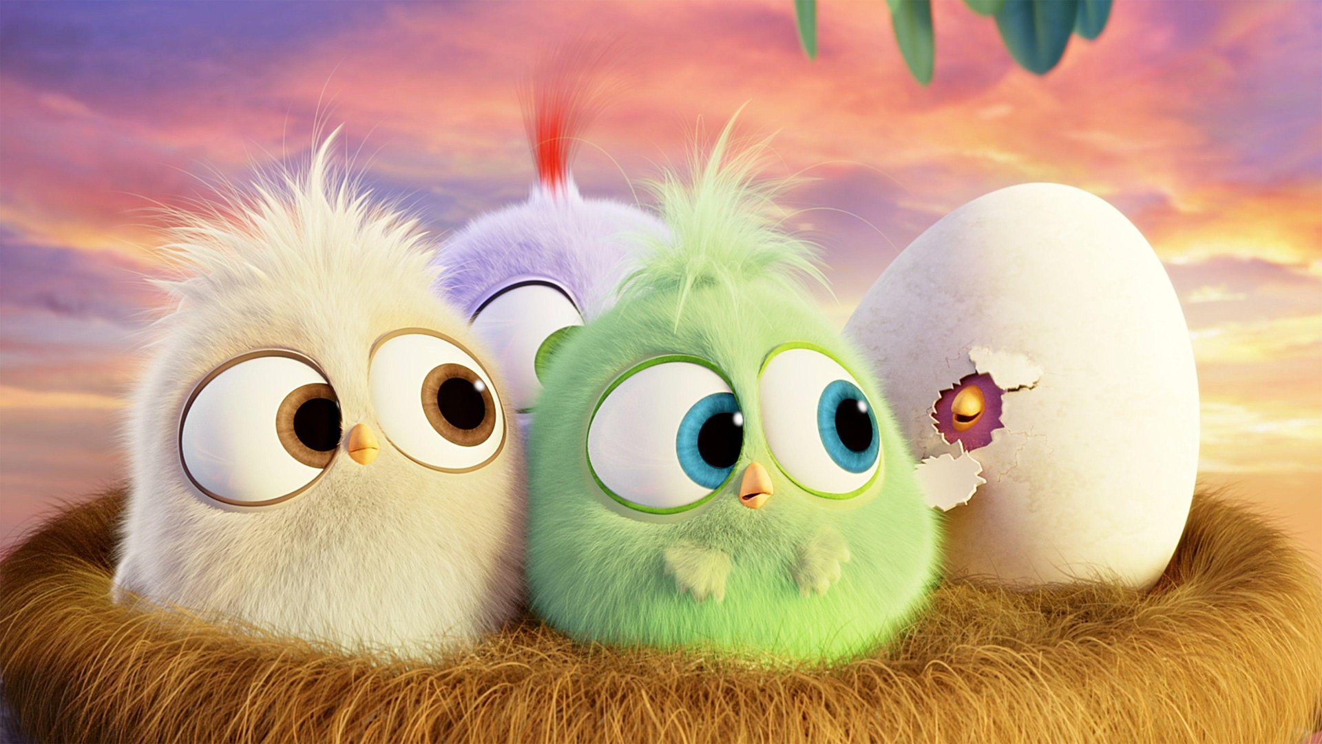 Angry Birds HD Wallpaper.jpg