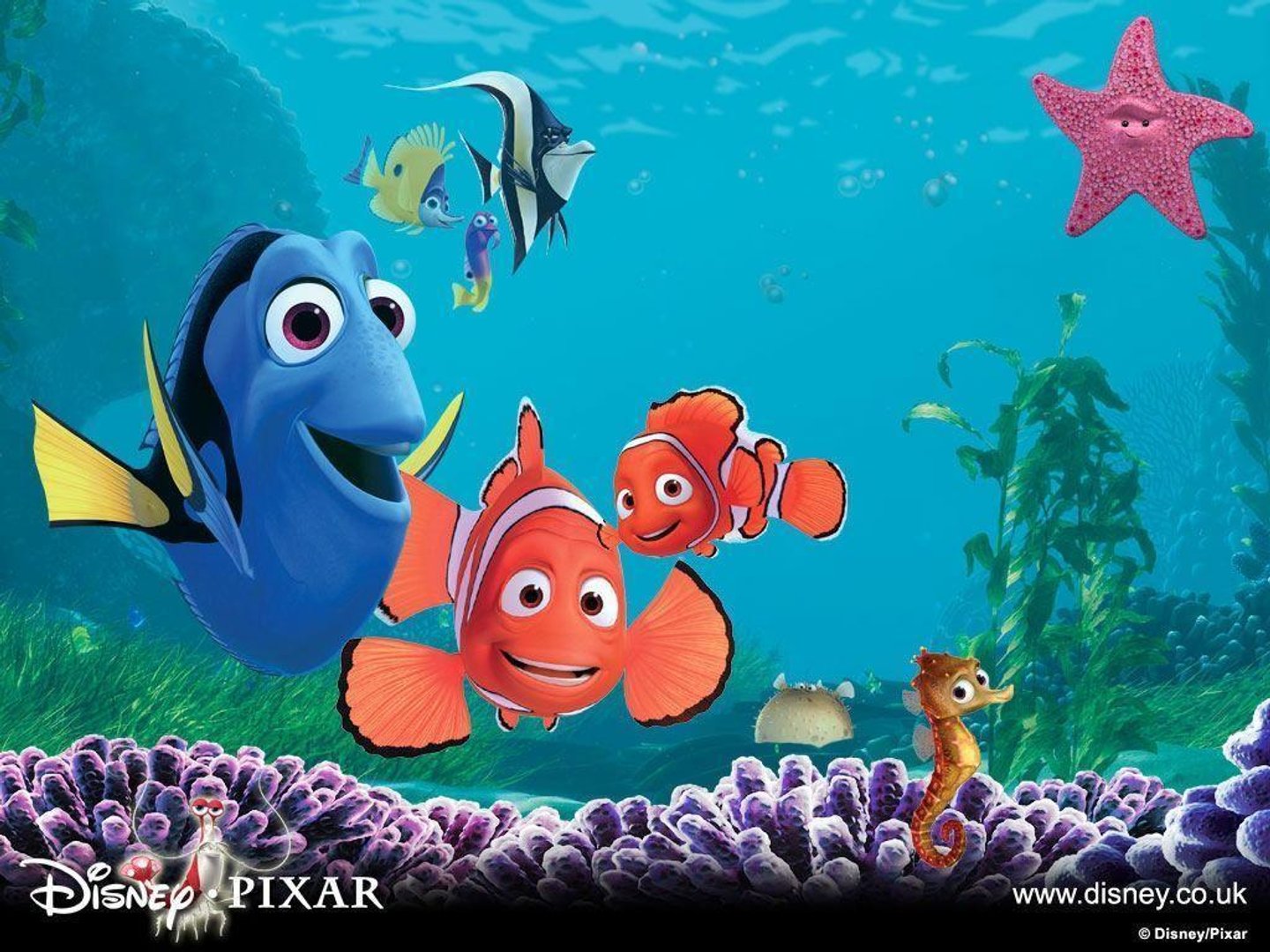 Finding Nemo Pictures.jpg