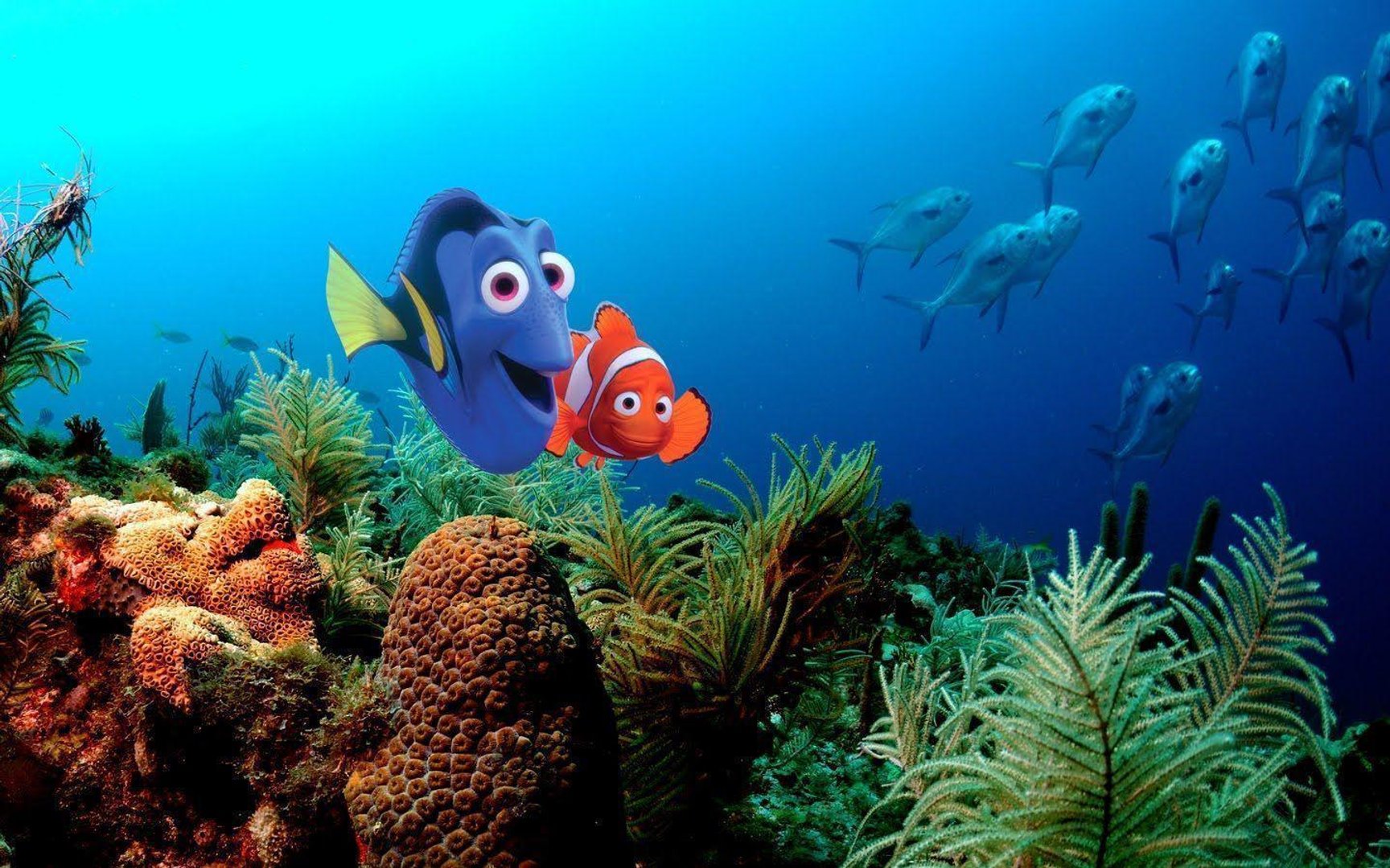 Finding Nemo Wallpaper.jpg