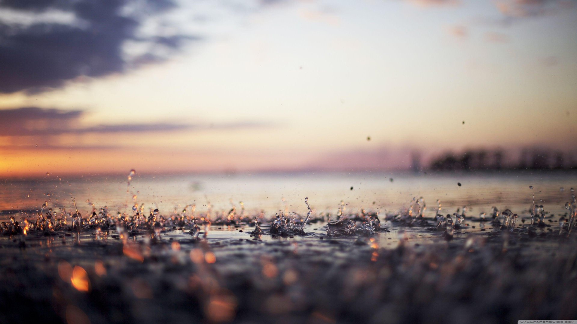 Rain 4K Wallpapers.jpg