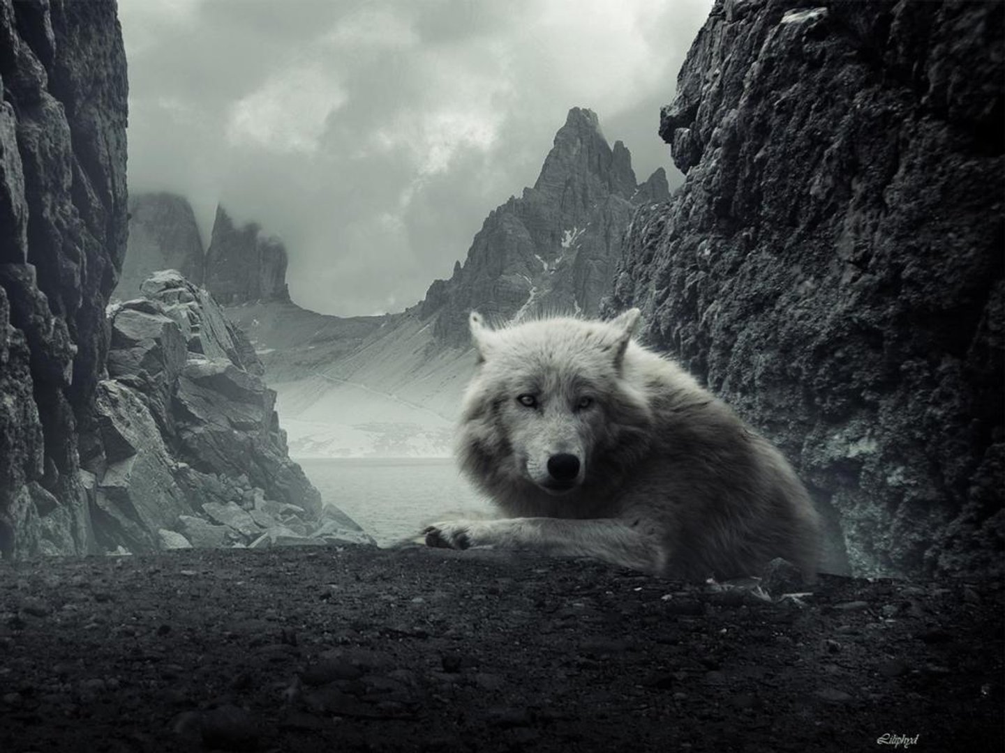 Lone Wolf Wallpaper.jpg
