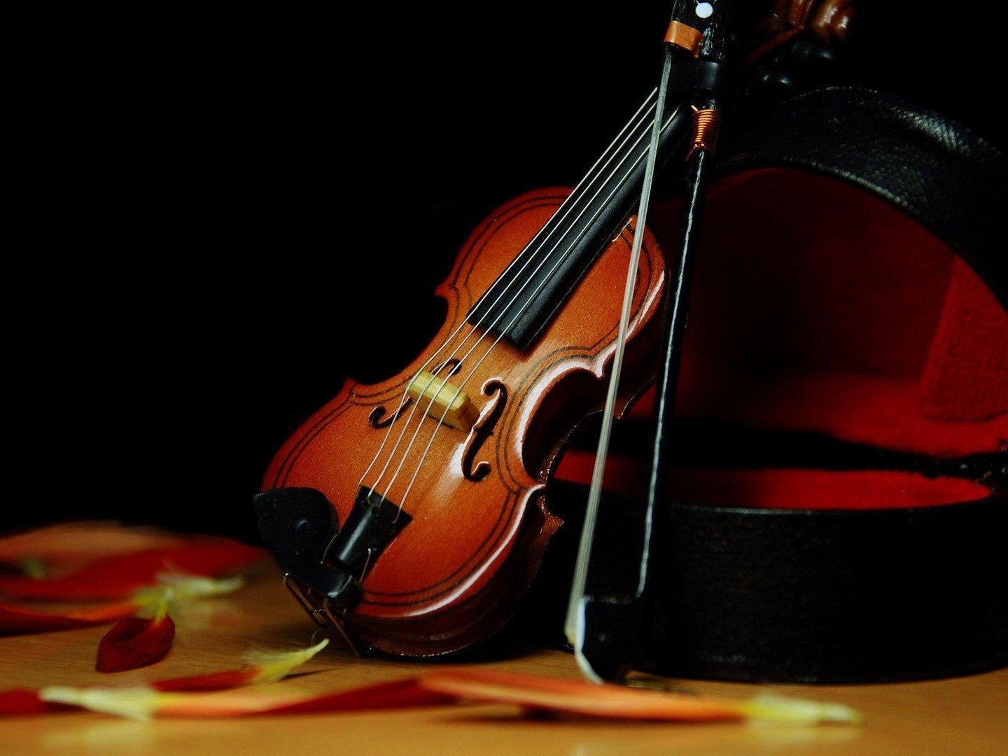 Violin Pictures.jpg