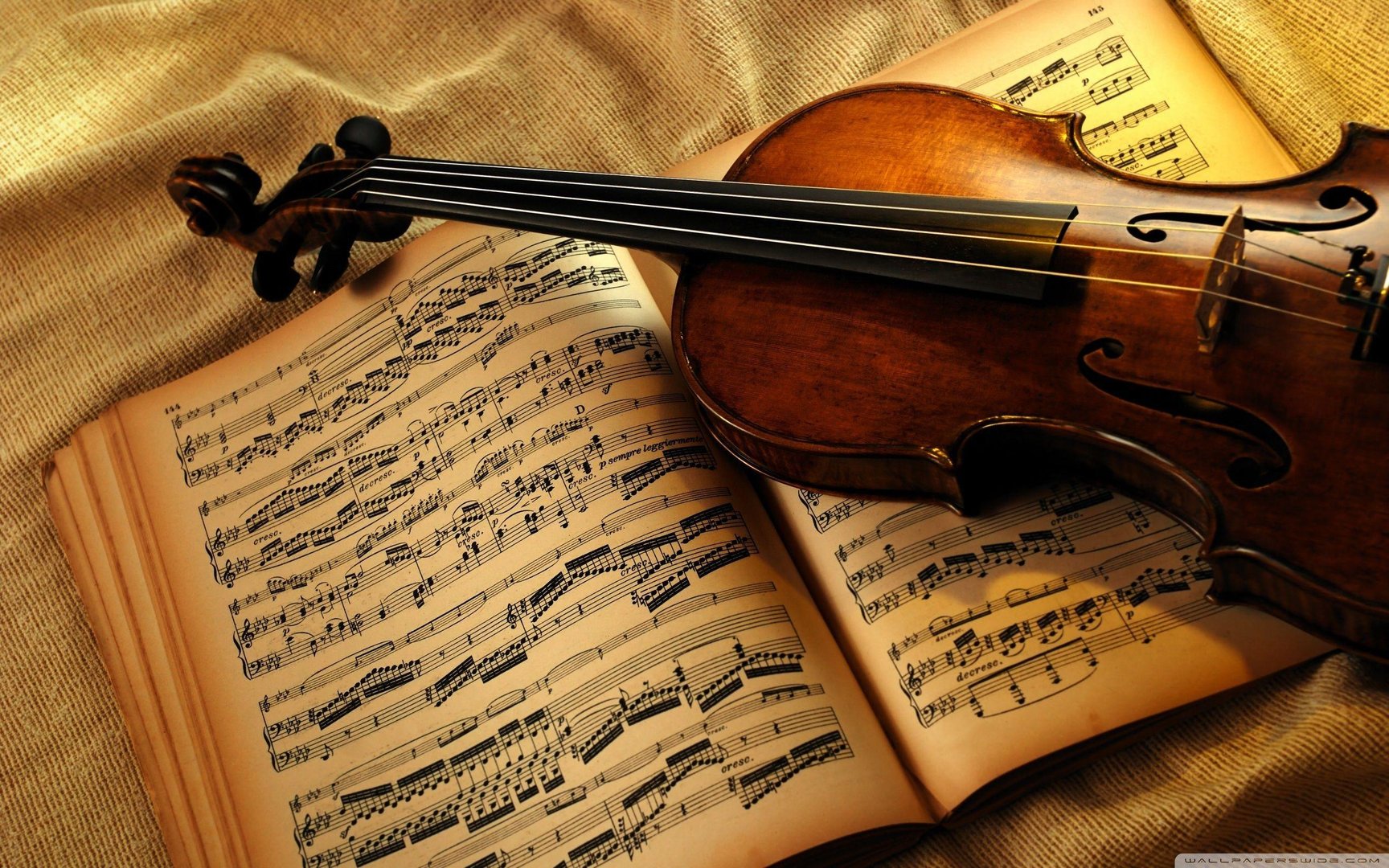 Violin Wallpaper.jpg