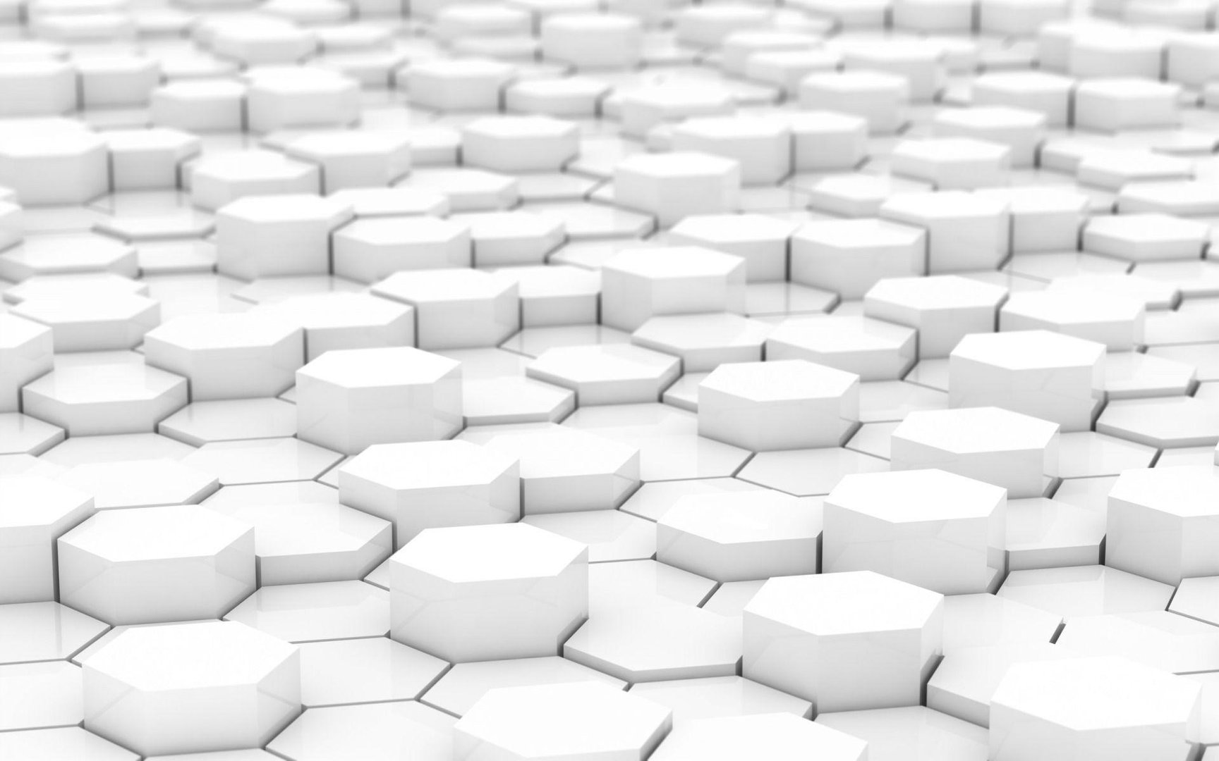 Cool White Wallpaper.jpg