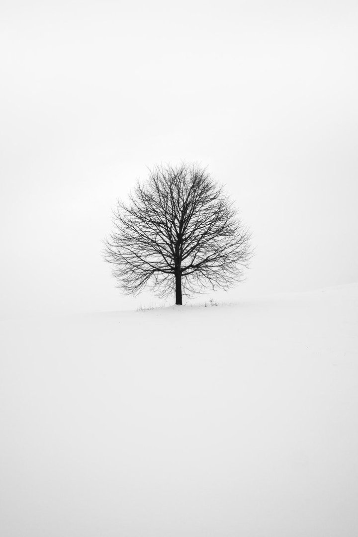 Cool White Background.jpg