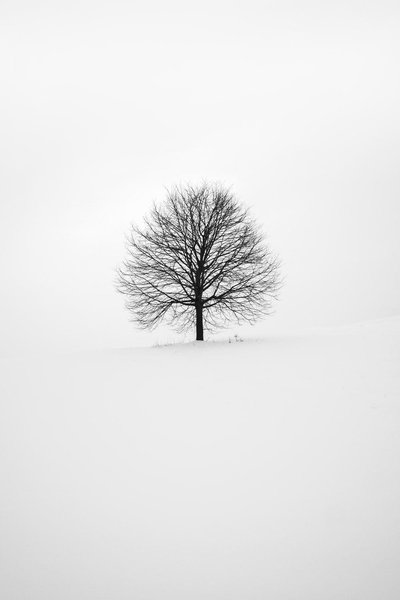 Cool White