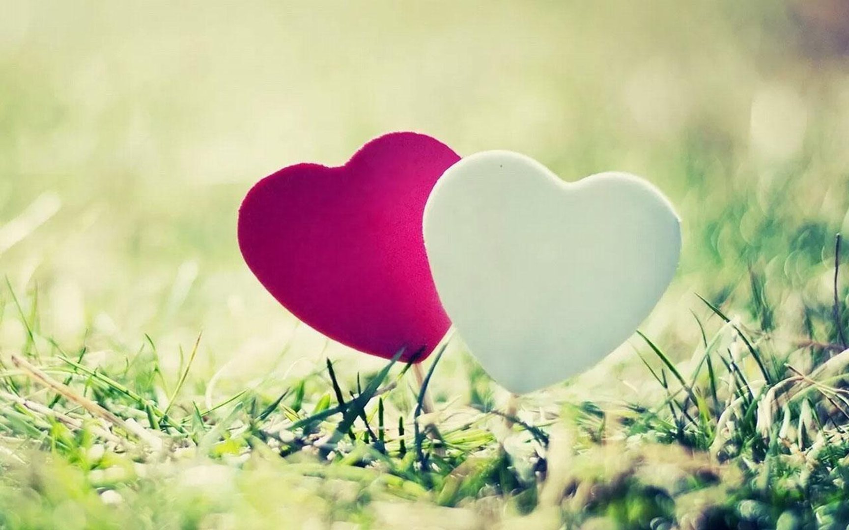 Romantic Love Background.jpg